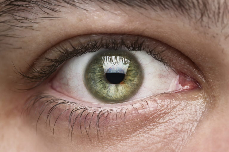 El reconocimiento visual de Microsoft supera el ojo humano
