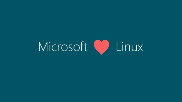 Hosting para Windows, las diferencias con Linux
