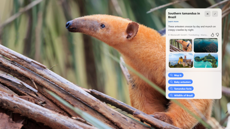 ¿Qué es Spotlight y cómo activarlo en Windows 10? Todo lo que debes saber sobre esta novedad