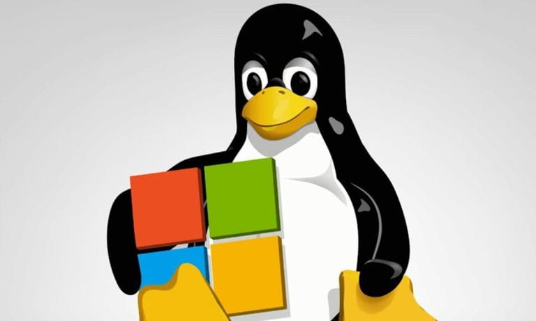 El Subsistema de Linux en Windows es ahora Open Source, que supondrá