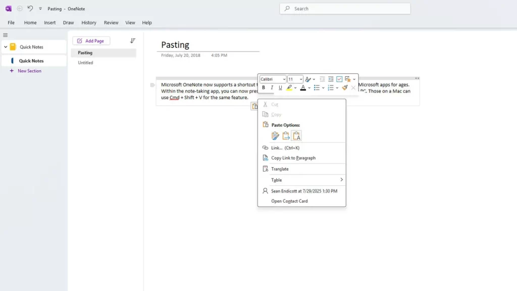 OneNote y el texto sin formato