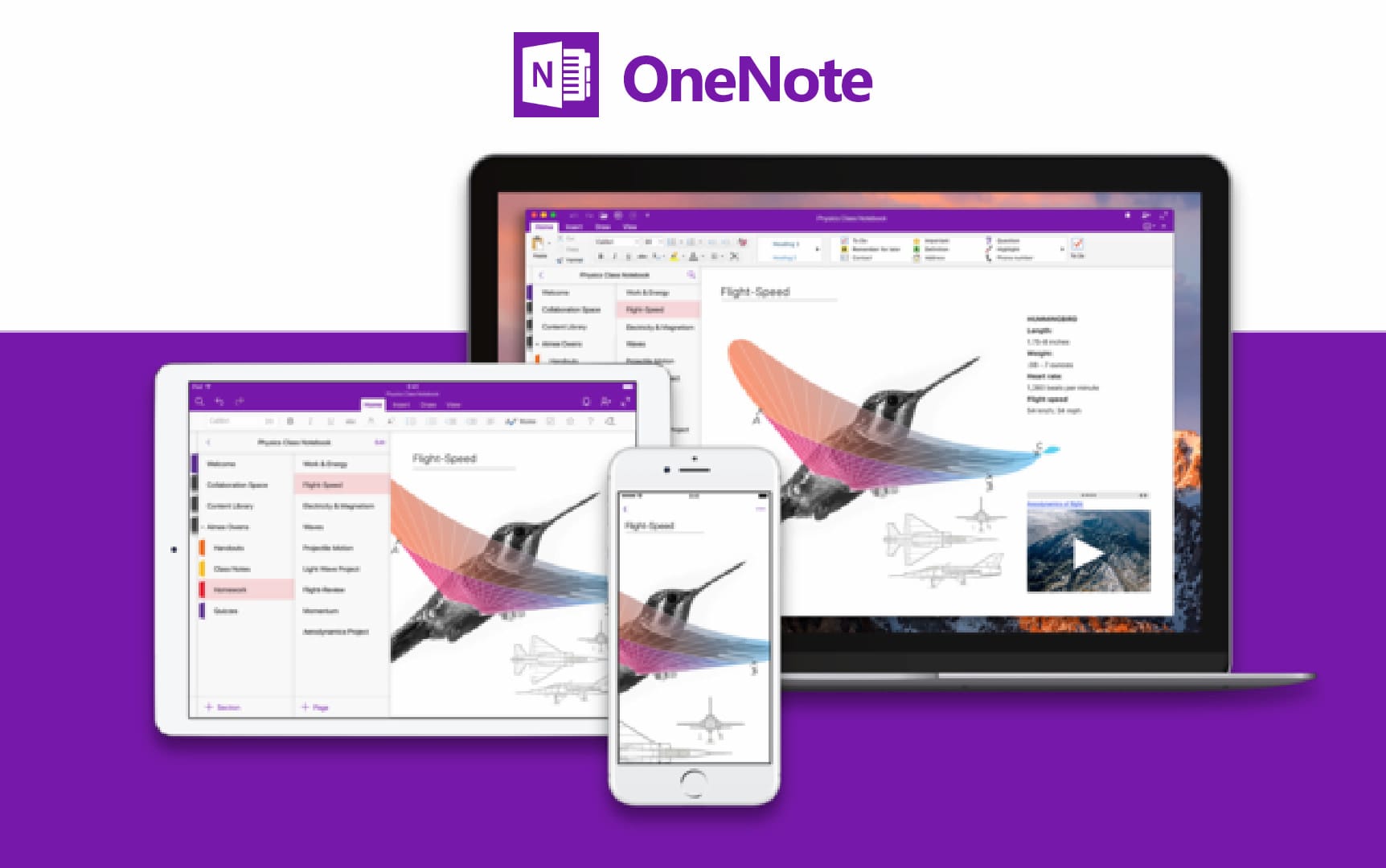 Imagen de OneNote en múltiples dispositivos