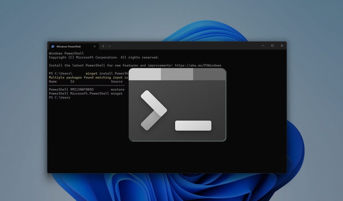 Imagen de la Terminal de Windows