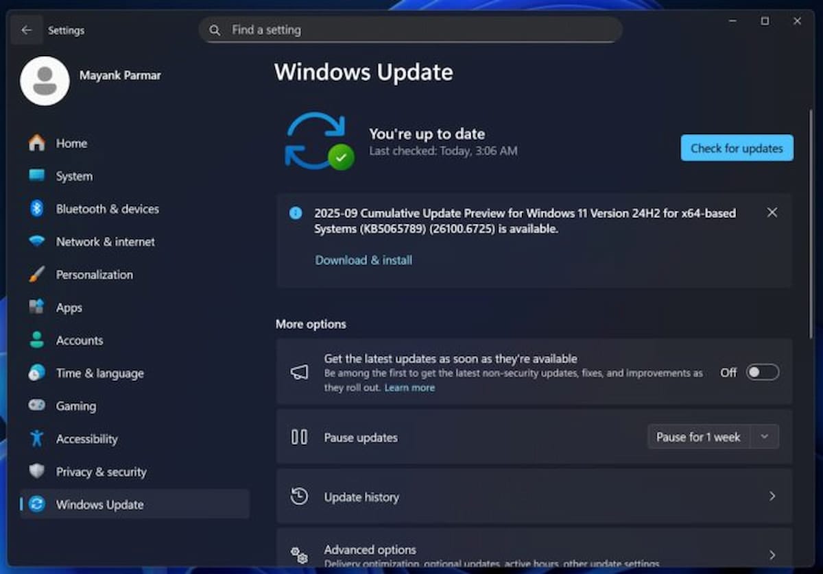 Imagen de Windows Update con Windows 11 25H2