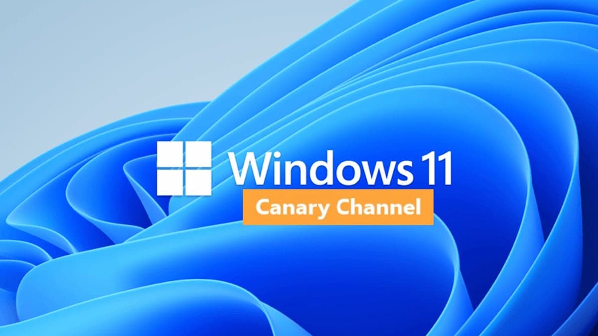 Microsoft tiene planes de dividir Windows 11 Canary y nos deja entrever un poco del futuro del sistema operativo